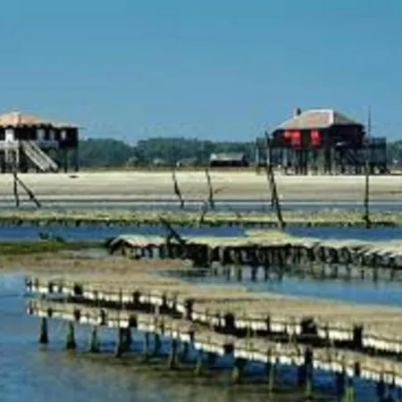 Villa Arcachon, 3 Pieces, 5 Personnes - Fr-1-374-75 *