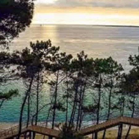 Villa Arcachon, 3 Pieces, 5 Personnes - Fr-1-374-75 *